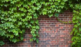 Beyond the Brick and Mortar