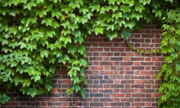 Beyond the Brick and Mortar