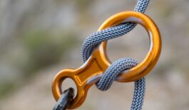 Leading Toward Mutual Learning